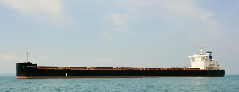 STAR VIRGINIA Bulk Carrier IMO 9698874 photo 10