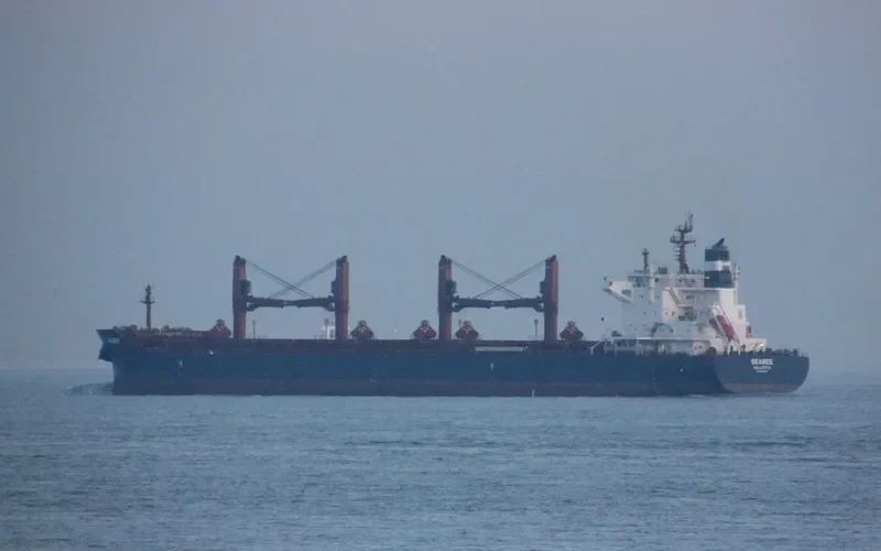 SEABEE Bulk Carrier IMO 9698941