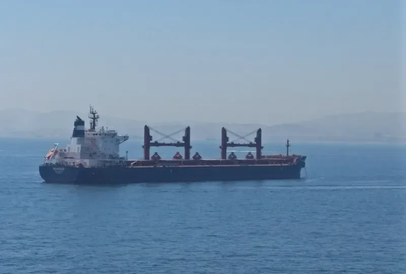 SEARIDER Bulk Carrier IMO 9698953