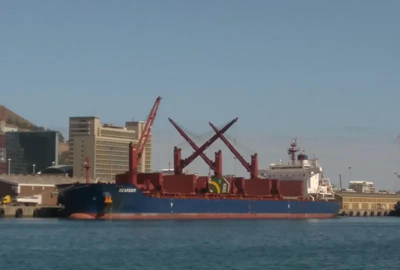 SEARIDER Bulk Carrier IMO 9698953 photo 3