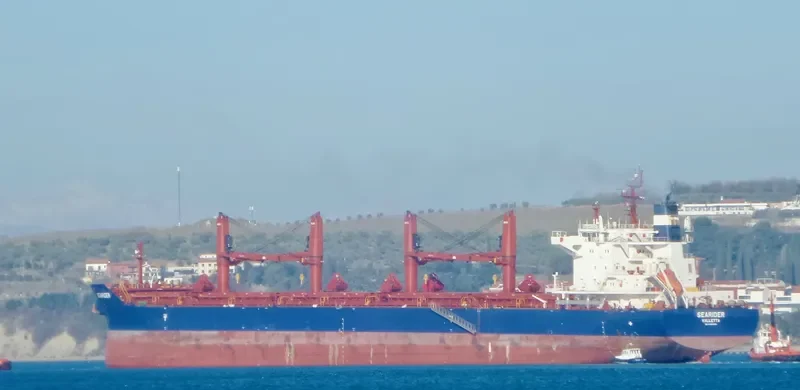 SEARIDER Bulk Carrier IMO 9698953 photo 5