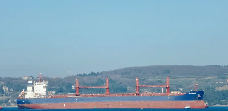 SEARIDER Bulk Carrier IMO 9698953 photo 6