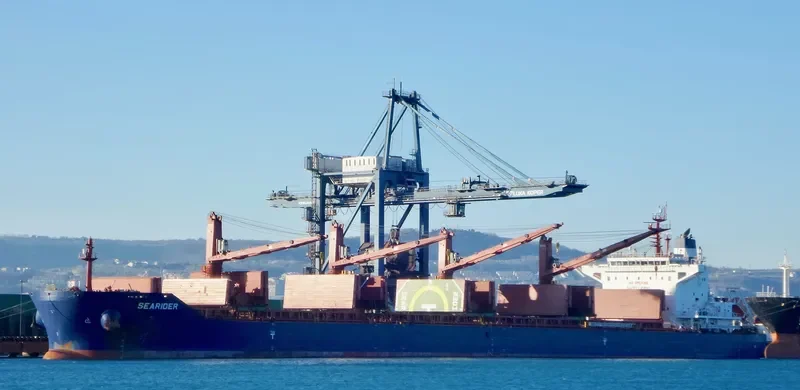 SEARIDER Bulk Carrier IMO 9698953 photo 7