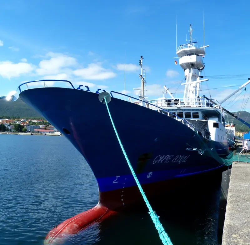CAPE CORAL General Cargo IMO 9699050 photo 3
