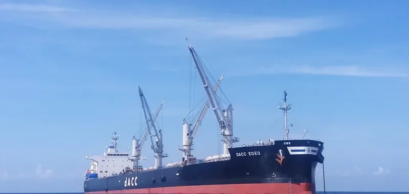 MEDI EGEO Bulk Carrier IMO 9699177