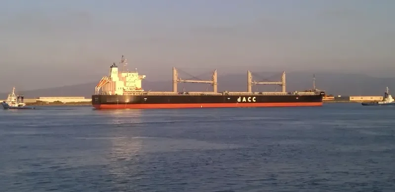 MEDI EGEO Bulk Carrier IMO 9699177 photo 2