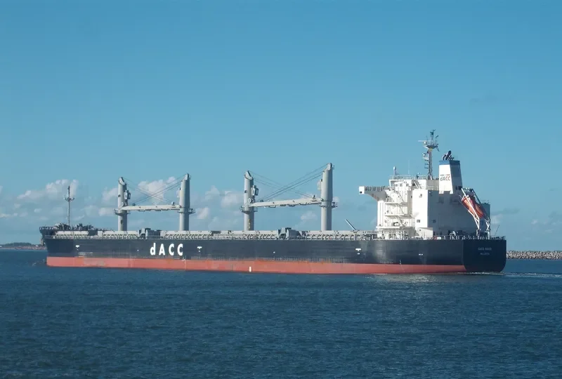 MEDI EGEO Bulk Carrier IMO 9699177 photo 3