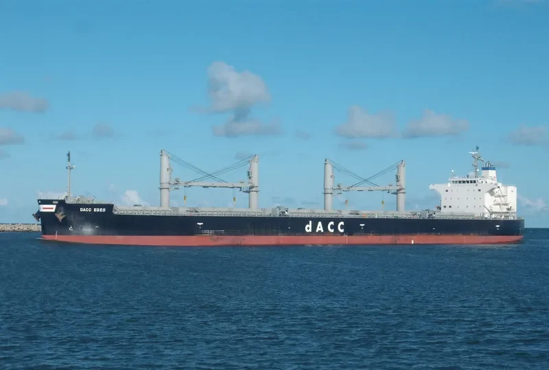 MEDI EGEO Bulk Carrier IMO 9699177 photo 5