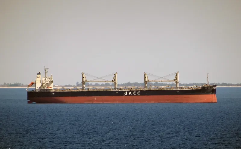 MEDI EGEO Bulk Carrier IMO 9699177 photo 6