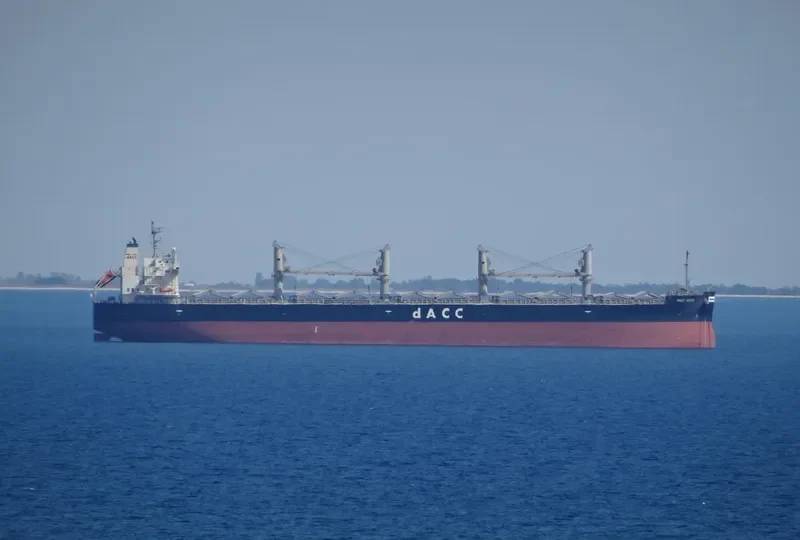 MEDI EGEO Bulk Carrier IMO 9699177 photo 7