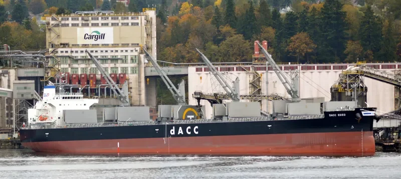 MEDI EGEO Bulk Carrier IMO 9699177 photo 8
