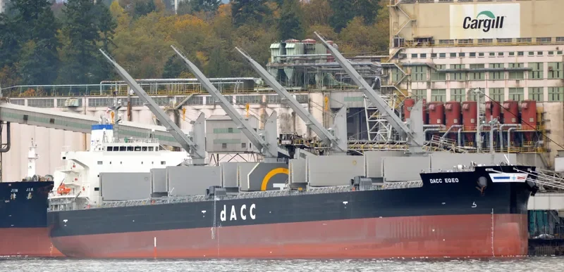 MEDI EGEO Bulk Carrier IMO 9699177 photo 9