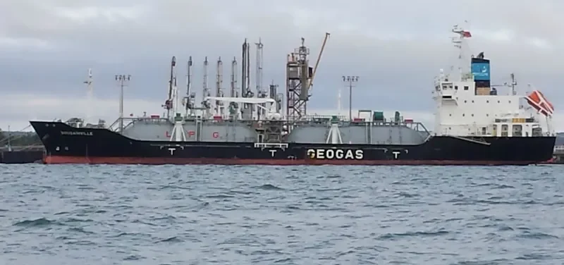BOUGAINVILLE General Cargo IMO 9699244 photo 8