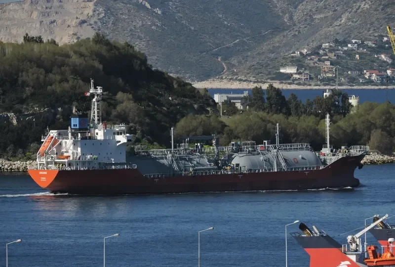 GREMIO General Cargo IMO 9699256 photo 17
