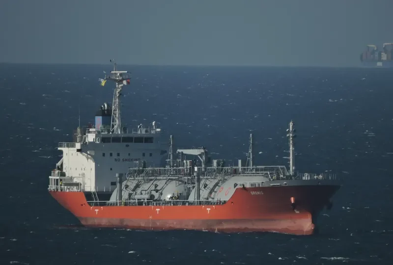 GREMIO General Cargo IMO 9699256 photo 25