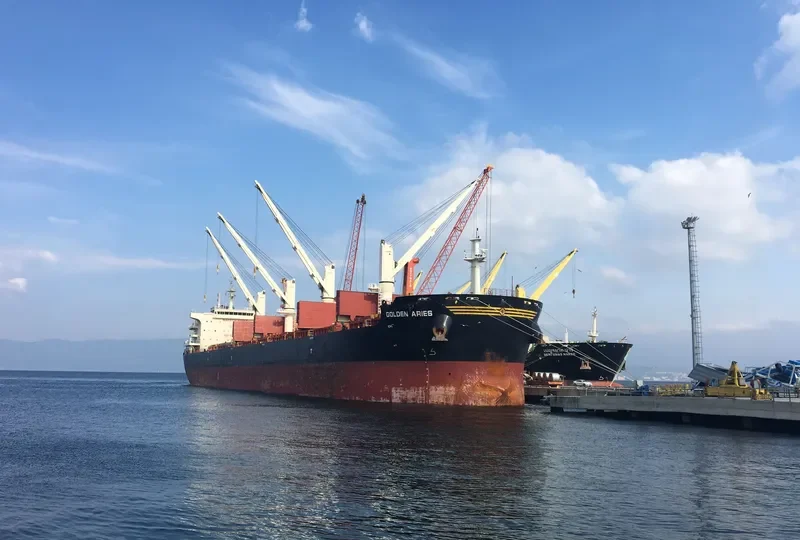 SBI ARIES Bulk Carrier IMO 9699270 photo 2