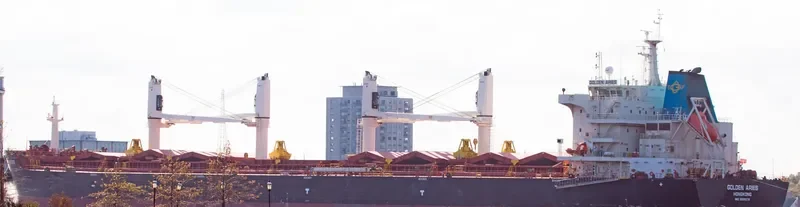 SBI ARIES Bulk Carrier IMO 9699270 photo 5