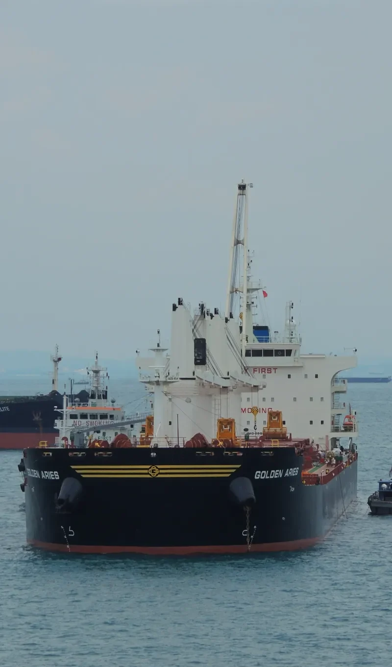 SBI ARIES Bulk Carrier IMO 9699270 photo 7