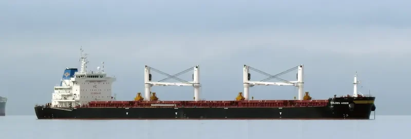 SBI ARIES Bulk Carrier IMO 9699270 photo 8