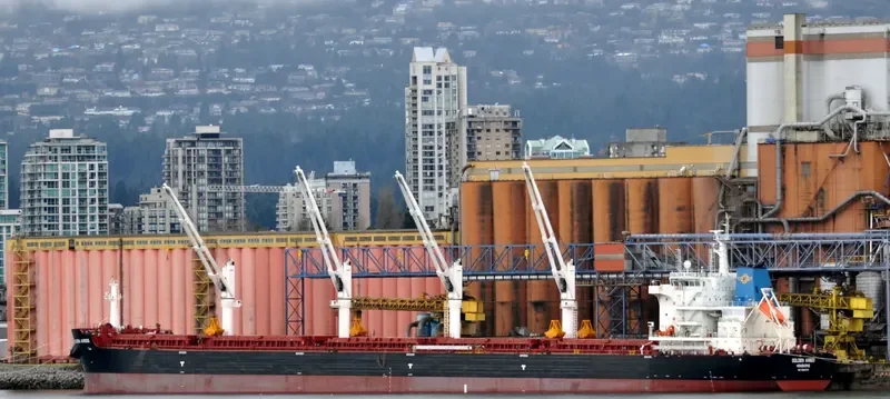 SBI ARIES Bulk Carrier IMO 9699270 photo 9