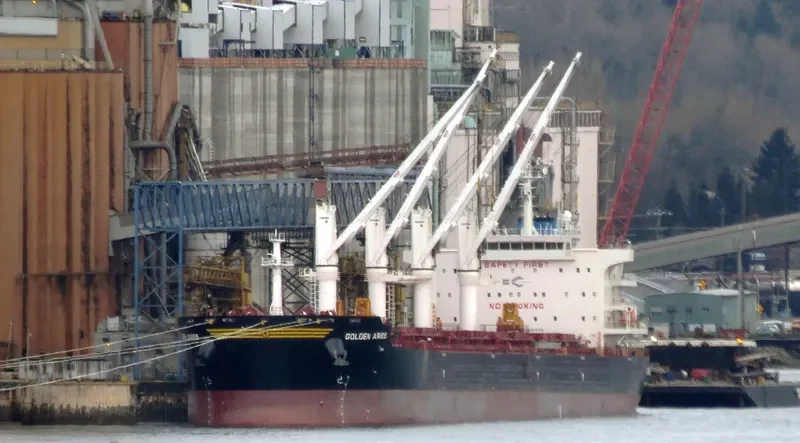 SBI ARIES Bulk Carrier IMO 9699270 photo 10