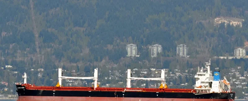 SBI ARIES Bulk Carrier IMO 9699270 photo 11