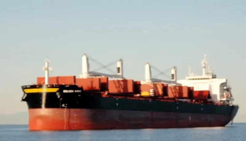 SBI ARIES Bulk Carrier IMO 9699270 photo 12
