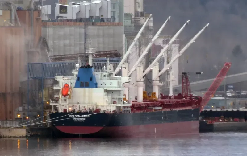 SBI ARIES Bulk Carrier IMO 9699270 photo 13