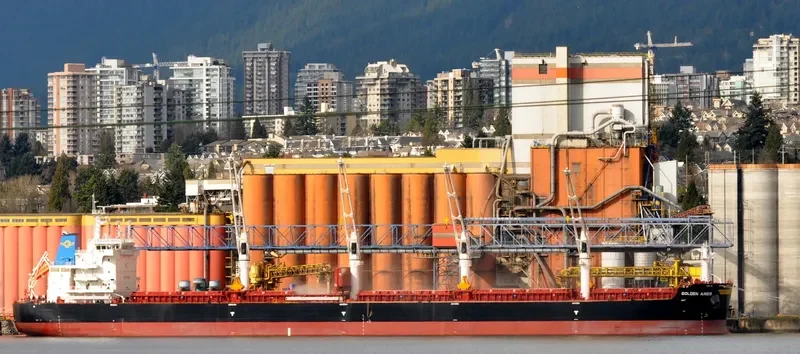 SBI ARIES Bulk Carrier IMO 9699270 photo 14