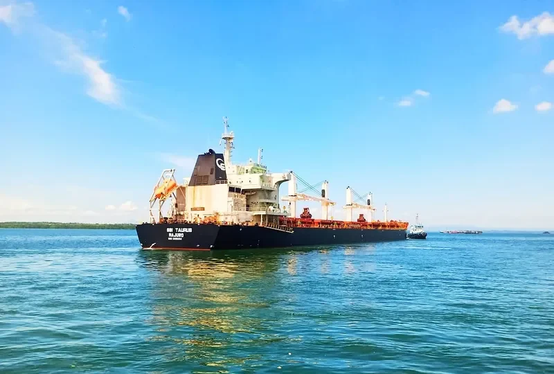 JABAL SAMHAN Bulk Carrier IMO 9699294 photo 4