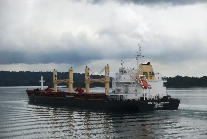 NAUTICAL LOREDANA Bulk Carrier IMO 9699311 photo 2