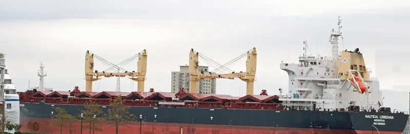NAUTICAL LOREDANA Bulk Carrier IMO 9699311 photo 5