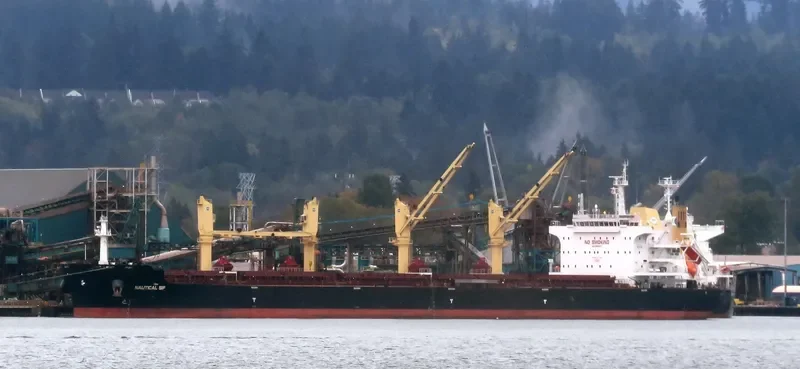 DUBLIN EAGLE Bulk Carrier IMO 9699323
