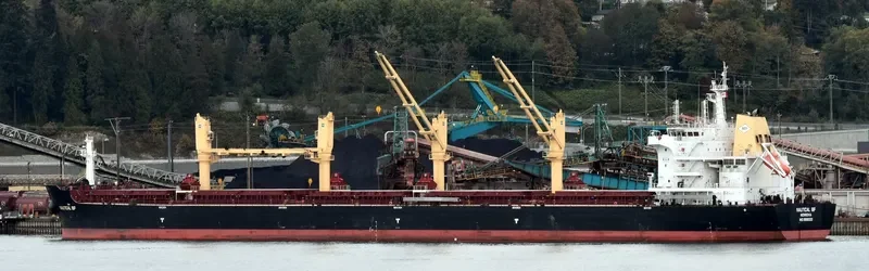 DUBLIN EAGLE Bulk Carrier IMO 9699323 photo 2
