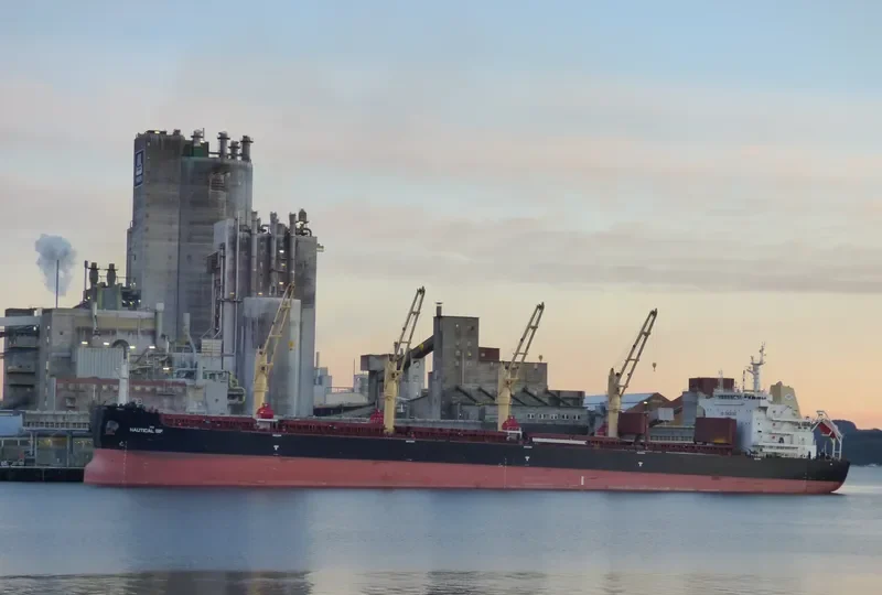 DUBLIN EAGLE Bulk Carrier IMO 9699323 photo 3
