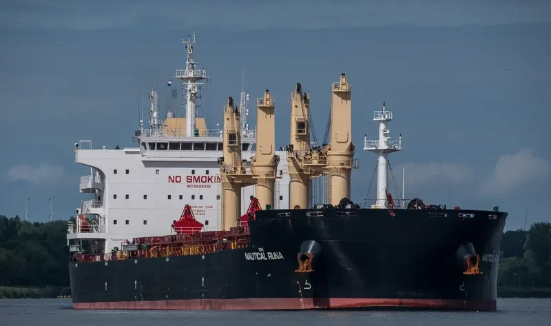 NAUTICAL RUNA Bulk Carrier IMO 9699335 photo 4