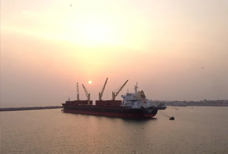 SANTOS EAGLE Bulk Carrier IMO 9699347