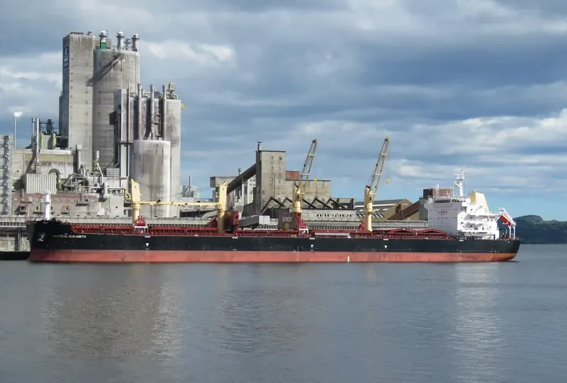 SANTOS EAGLE Bulk Carrier IMO 9699347 photo 2