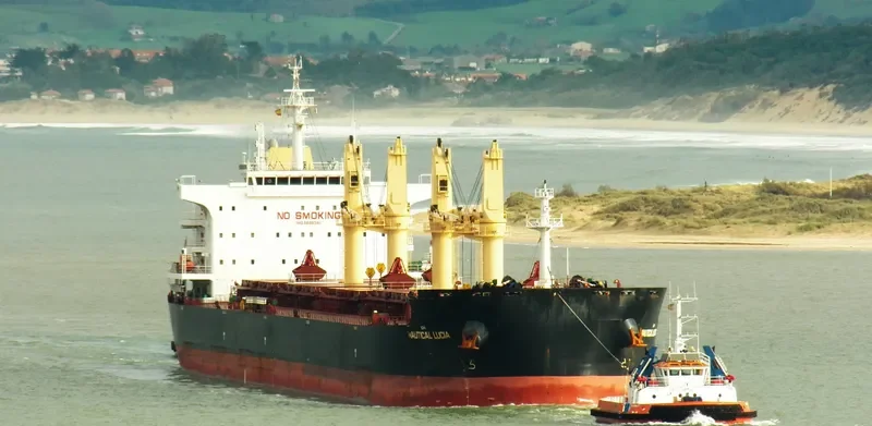 PAN IMPERIAL Bulk Carrier IMO 9699361