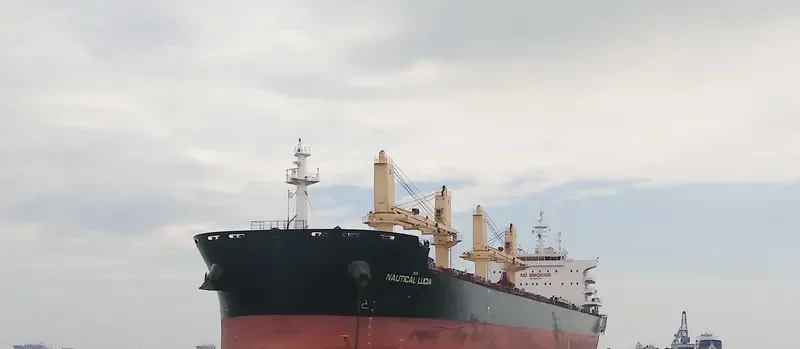 PAN IMPERIAL Bulk Carrier IMO 9699361 photo 8