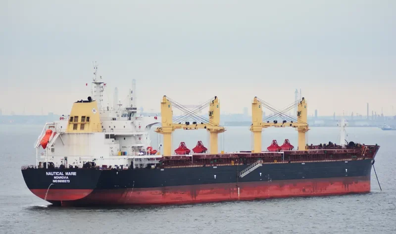 SYDNEY EAGLE Bulk Carrier IMO 9699373 photo 2