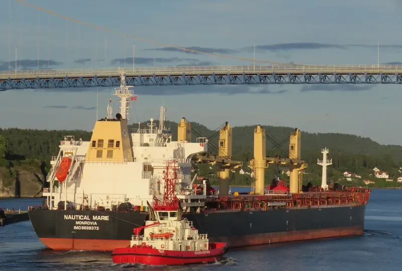 SYDNEY EAGLE Bulk Carrier IMO 9699373 photo 5