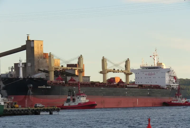 SYDNEY EAGLE Bulk Carrier IMO 9699373 photo 6