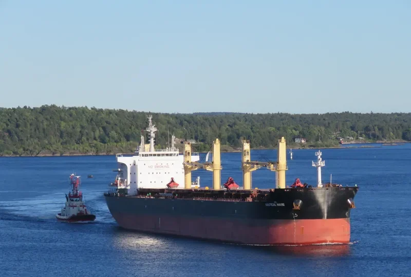 SYDNEY EAGLE Bulk Carrier IMO 9699373 photo 8