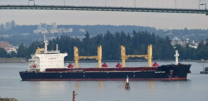 SYDNEY EAGLE Bulk Carrier IMO 9699373 photo 9