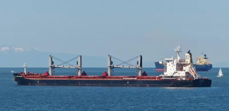 ALL STAR ATLAS Bulk Carrier IMO 9699440 photo 2
