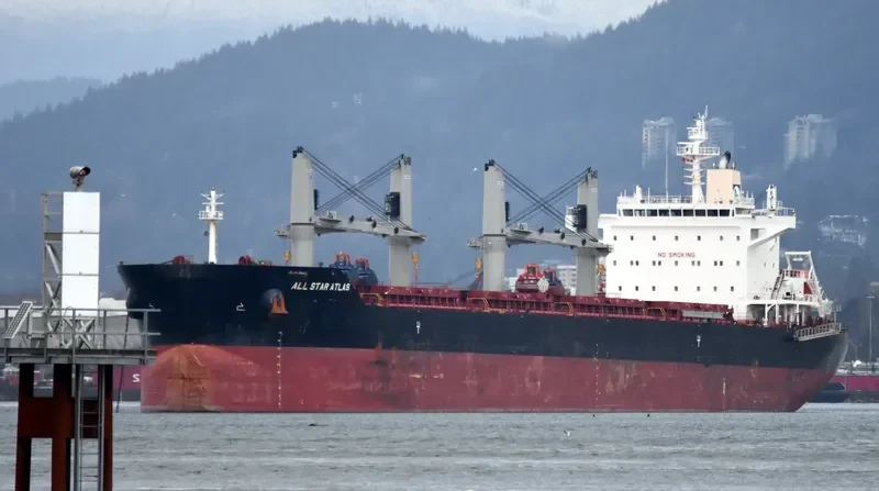 ALL STAR ATLAS Bulk Carrier IMO 9699440 photo 4