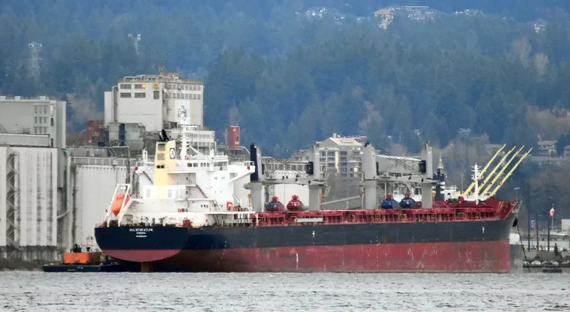 ALL STAR ATLAS Bulk Carrier IMO 9699440 photo 5