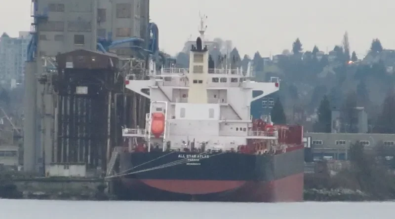 ALL STAR ATLAS Bulk Carrier IMO 9699440 photo 9