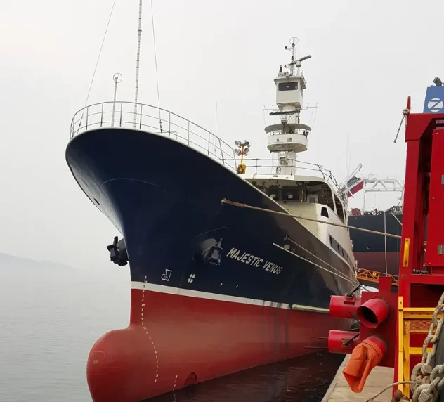 SAJO CONCORDIA General Cargo IMO 9699593